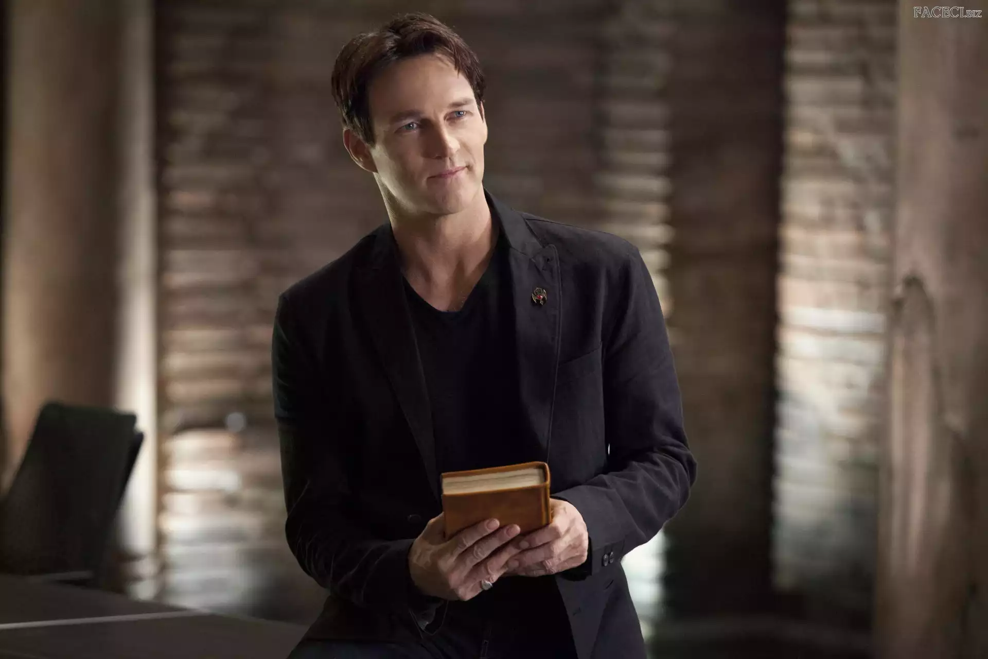 Stephen Moyer, Czysta Krew, True Blood