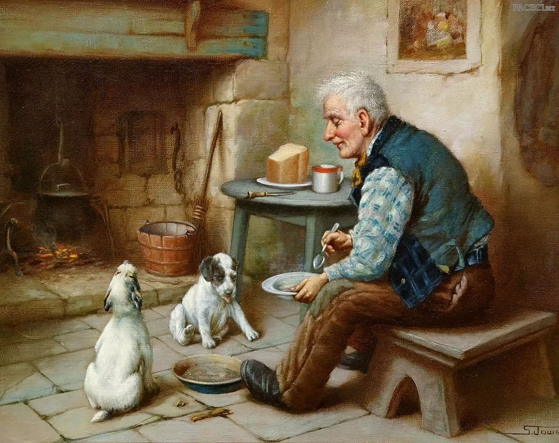 Dwa, Psy, Mężczyzna, Szczeniaki
