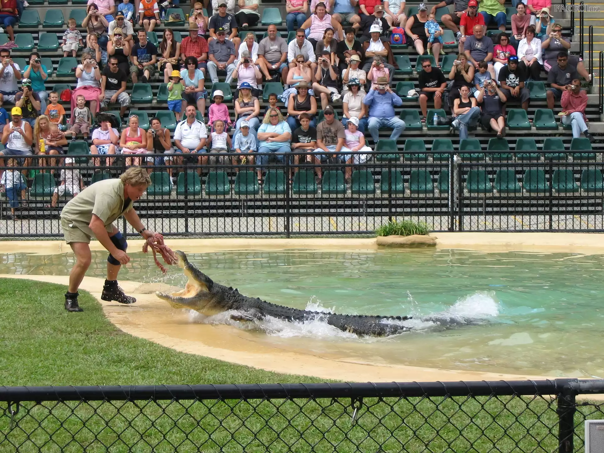 Australia, Krokodyli, Steve, ZOO, Ludzie, Łowca, Irwin, Pokazy