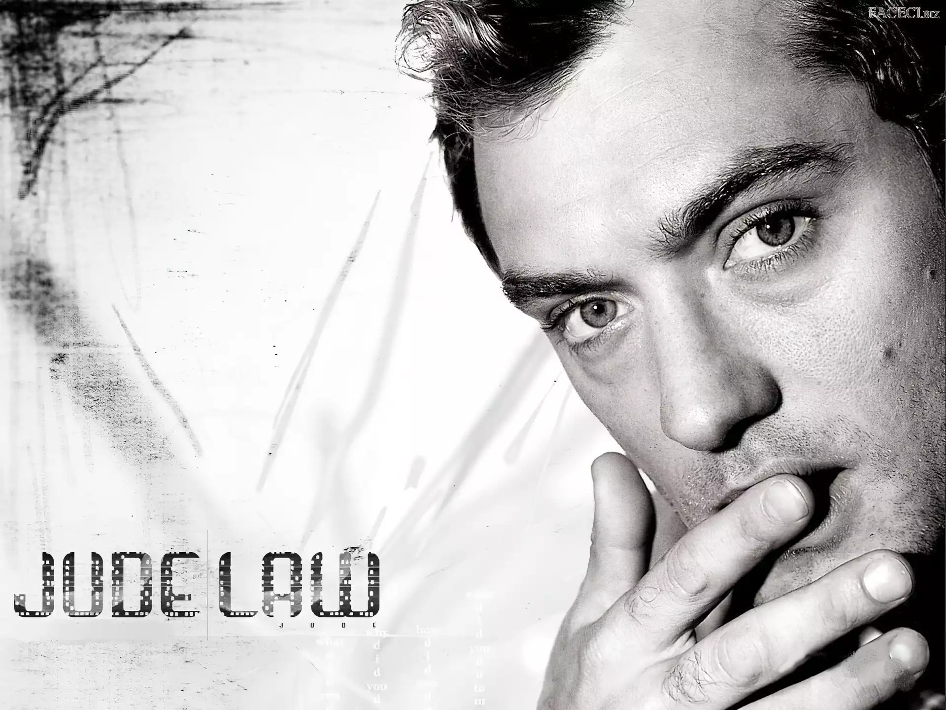 palce, Jude Law, twarz