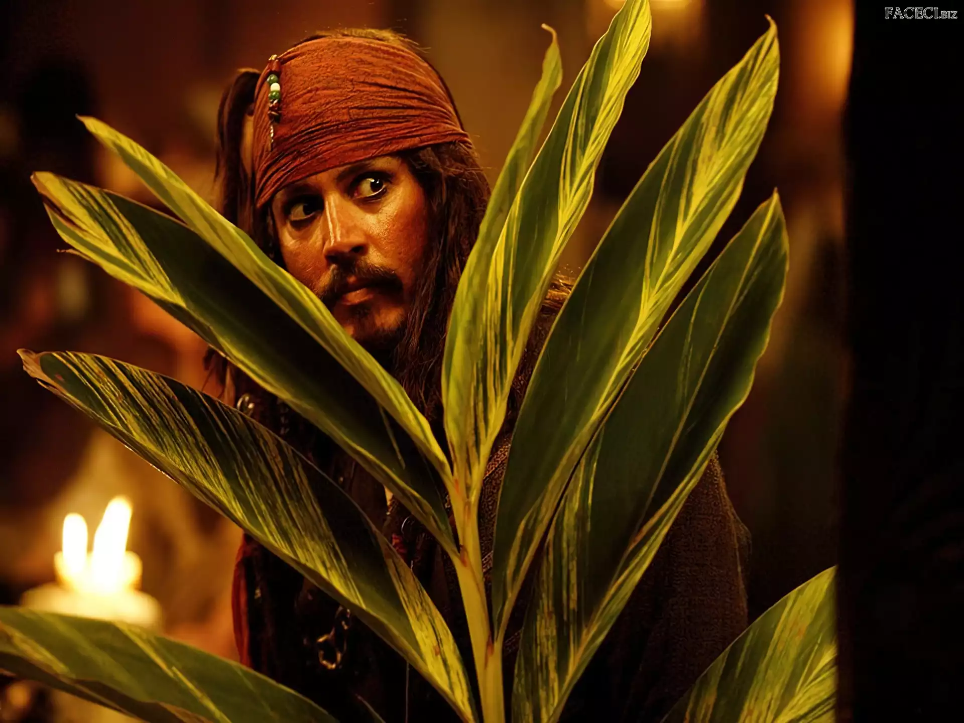 liście, piraci_z_karaibow_2, Johnny Depp