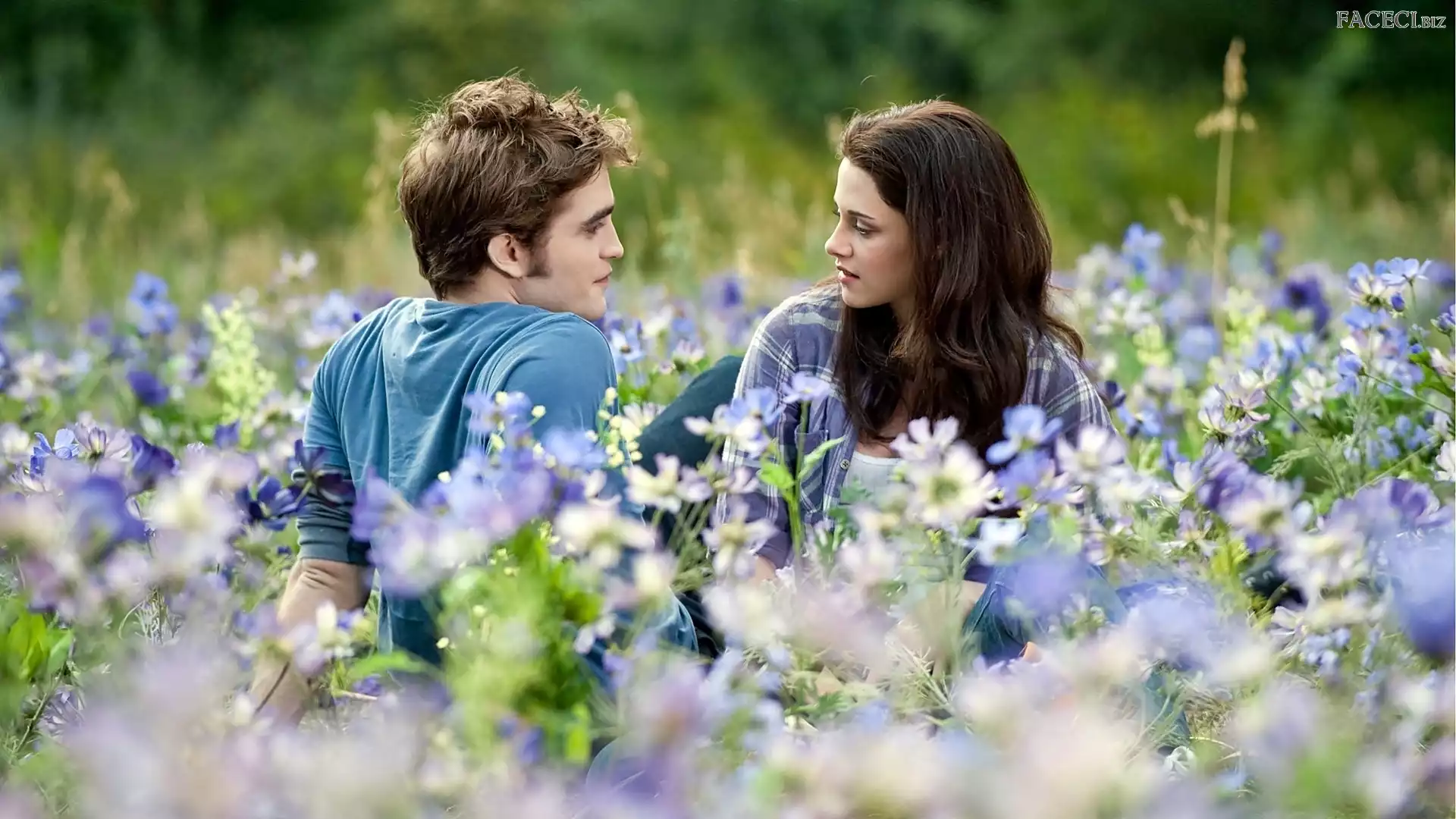 Kristen Stewart, Łąka, Robert Pattinson