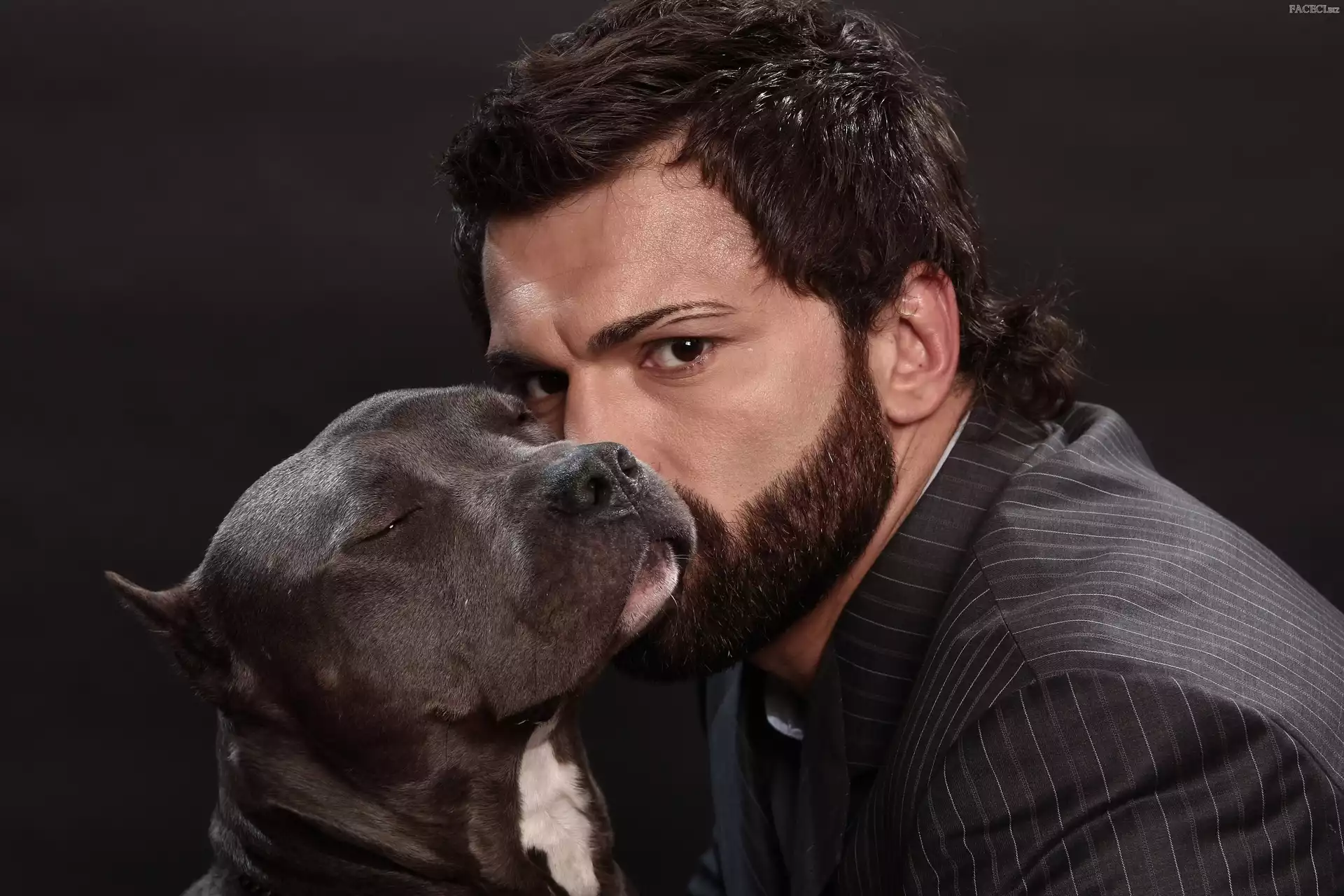 Pit Bull Terrier, Sztuki walki, Sportowiec, Pies, Amerykański pitbulterier, Andrei Arlovski, MMA