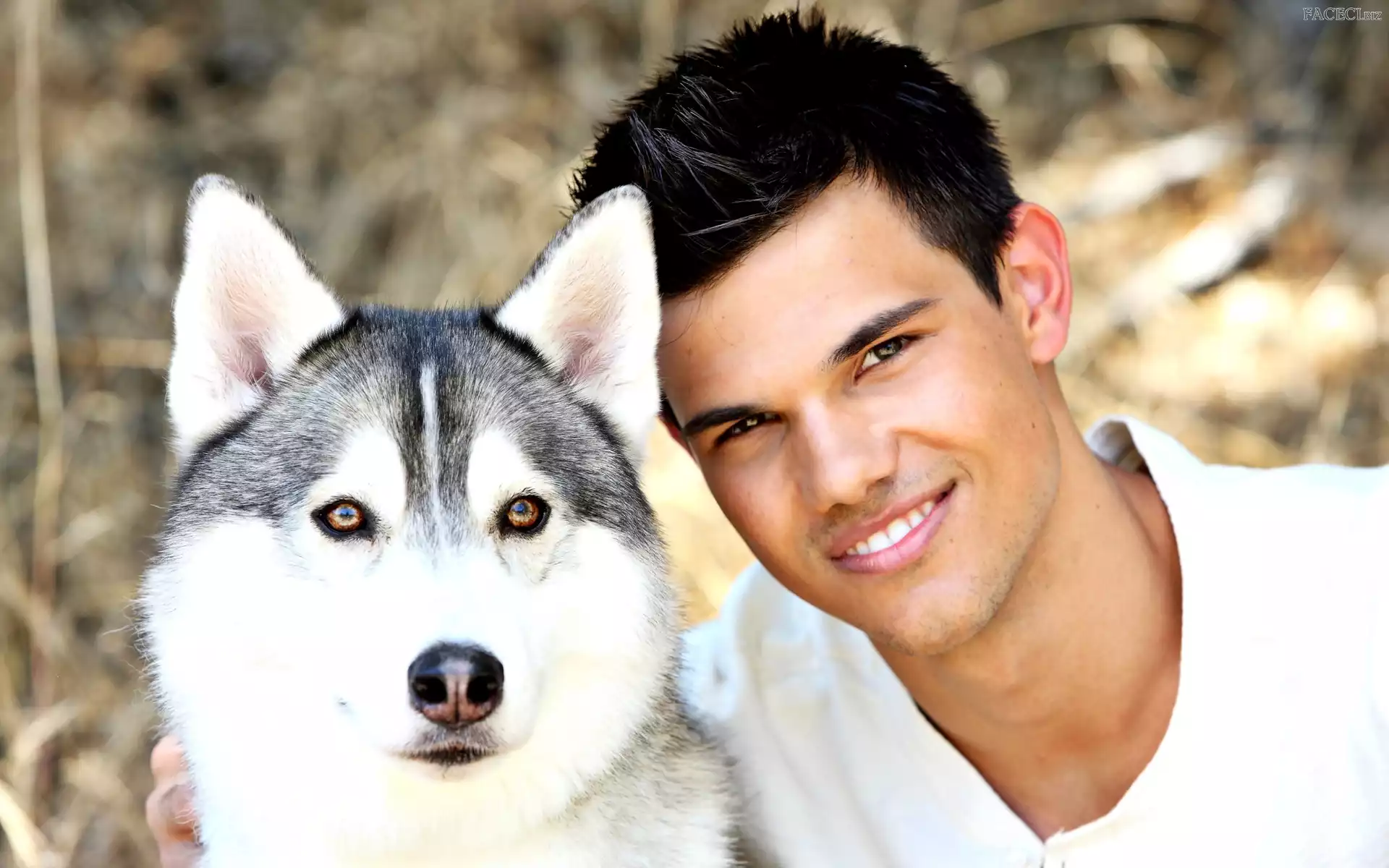Uśmiech, Psa, Taylor Lautner, Głowa